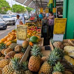 Ein Traum an frischen Fr