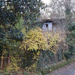 Der geheime Garten?