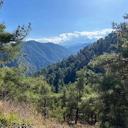 Ich ziehe weiter, immer schön bergabwärts, sodass..