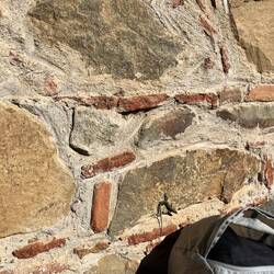 ..dieser flotte Kerl den Zutritt zur Kirche genießen darf 🦎