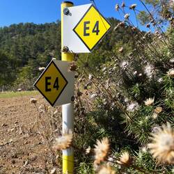 ..ich fast auf nur mehr auf 500 m lande.