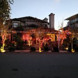 Christmas lights. We like how some neighborhoods have the poles of lights along the street