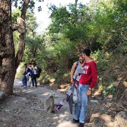 Der Affe im Baum hat ihre Cola Flasche ergattert