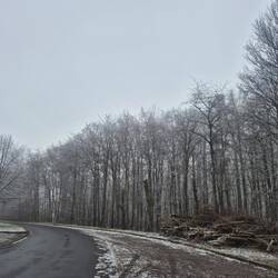Die Vulkaneifel in Hochnebel und Kälte