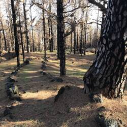 Wanderweg runter zur Ostküste.