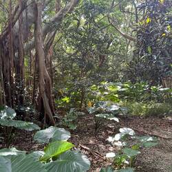 Relaxing walk through the garden.