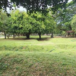 Die Killing Fields.