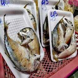 Reminds me a bit to the Alien movies 😨😨😨!