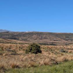 Gemäß Beschilderung soll das eine ganz besondere Landschaft mit besonderer Vegetation sein.