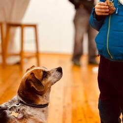 Angebot und Nachfrage