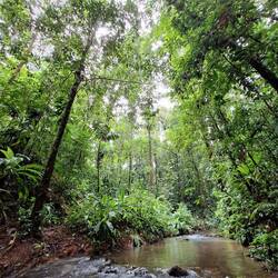 Bei dieser Überquerung musste ich die Schuhe nicht ausziehen.