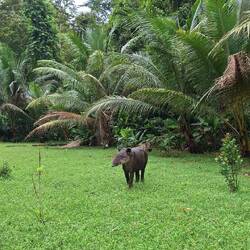 ...und anstatt von uns wegzurennen sogar aus uns zu lief. Ganz gemütlich.