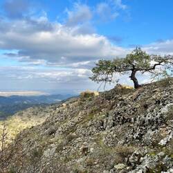 Das Gelände wird felsiger und teils..