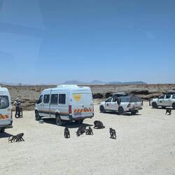 Bei dem PKW wird ein Seitenfenster aufgeschoben.