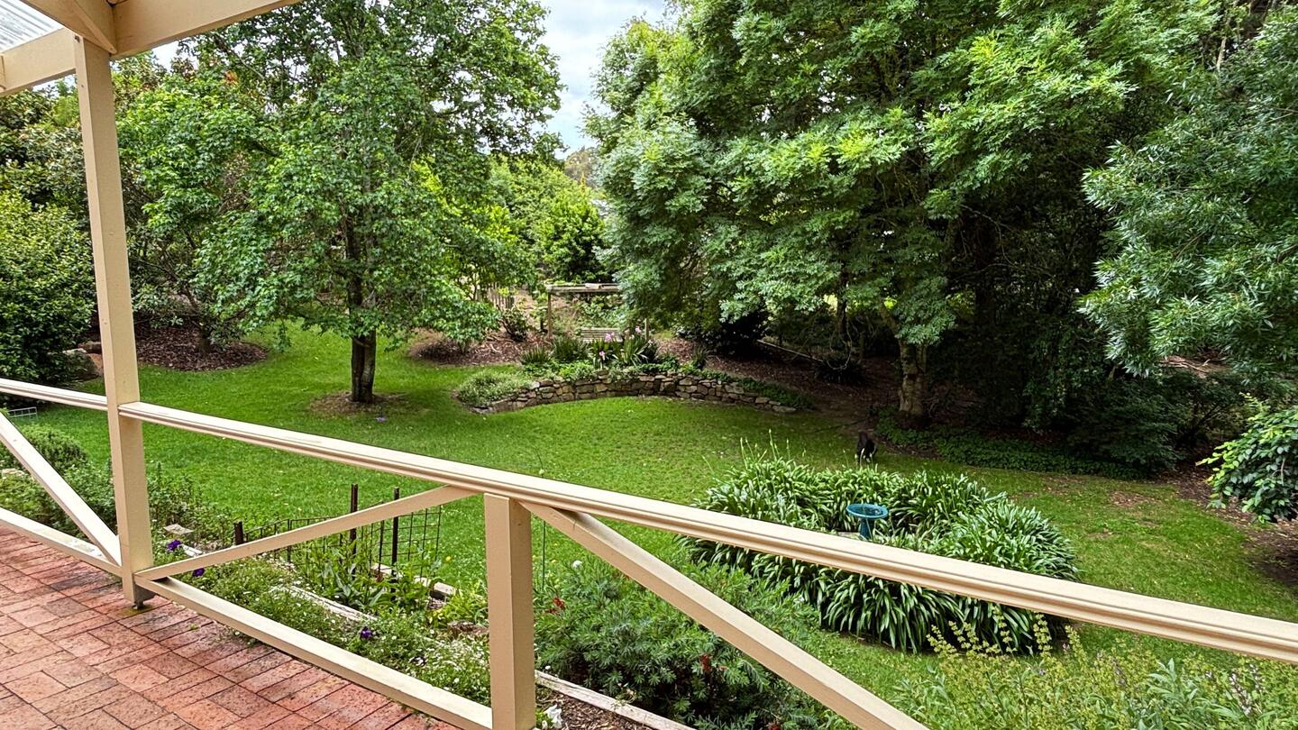 Blick in den Garten von der Terrasse