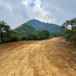 ..Schotterpisten und Brandschutzschneisen, die..