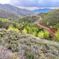 ..Region rund um Lythrodontas einen hohen..