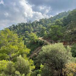 Der letzte kleine Hügel steht bevor, ehe ich wieder auf Asphalt..