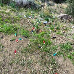 Weniger begeistert hinterlässt mich dann natürlich noch dieser Anblick 😒