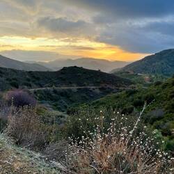 ..nun allmählich ausläuft und eindeutig flacher wird.