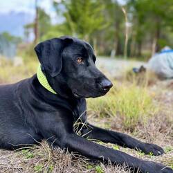 ..scheinbar angezogen habe - ich kann nur hoffen, dass es ihm weiterhin gut gehen wird.