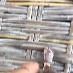 1h dieser weg durch reisfelder