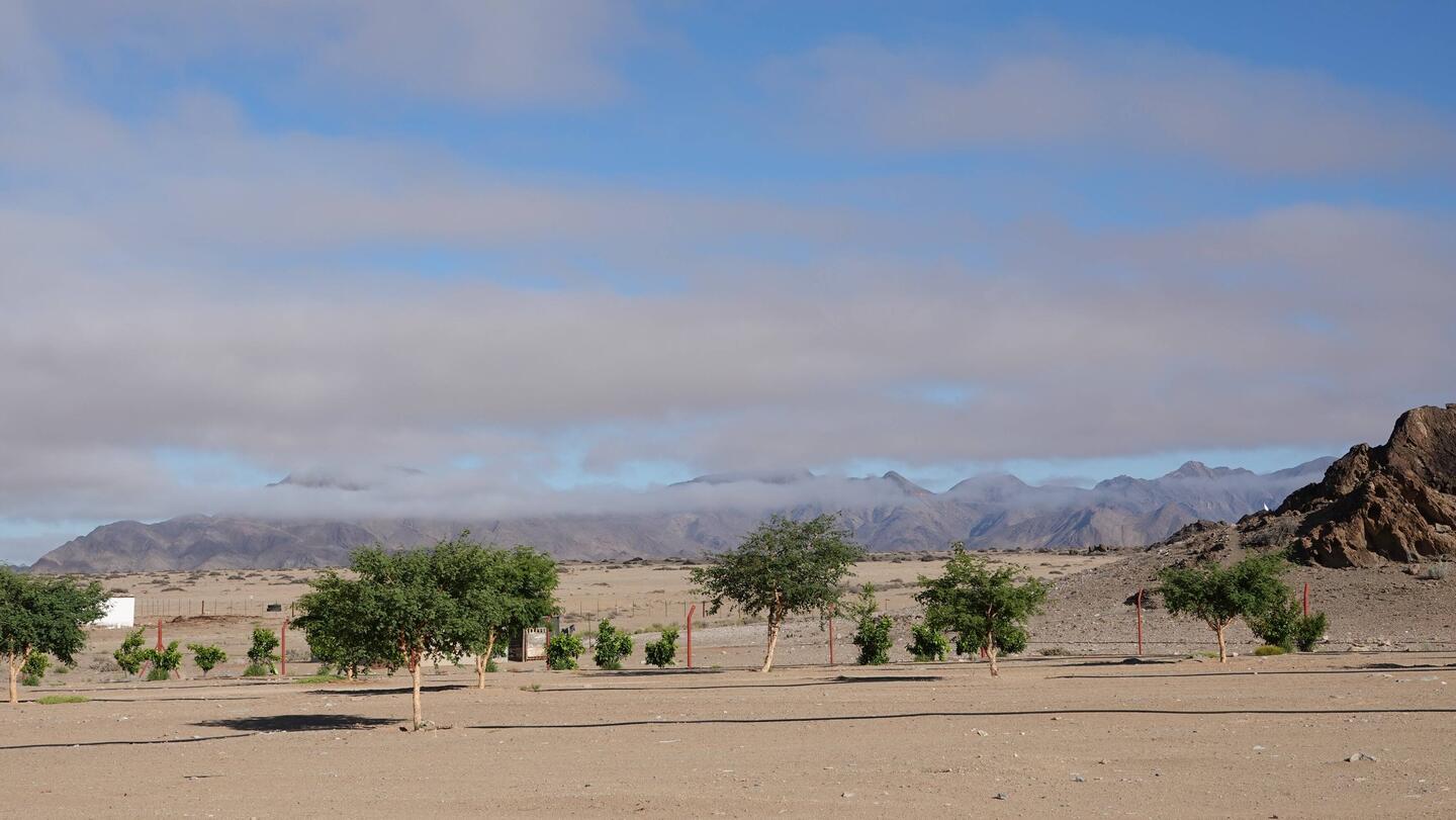 Hochnebel in Namibia