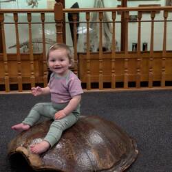 Tuhura Otago Museum - eines von vielen kostenlosen Museen in Dunedin