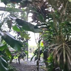 In der celeste mountain Lodge