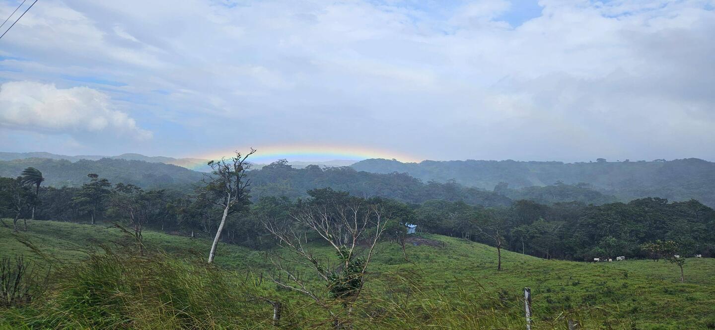 Am Morgen freuen wir uns über diesen Regenbogen