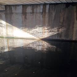 Beauty in unexpected places