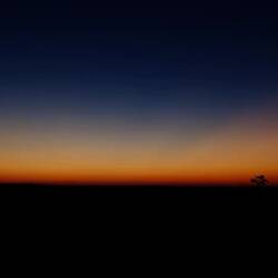 Volumen hochdrehen!! (Brüllaffen beim Sonnenaufgang)