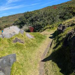 Trail to the picnic table