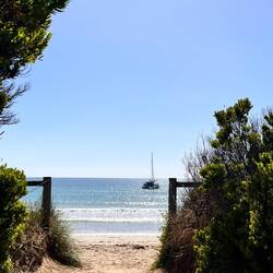 Apollo Bay am Morgen