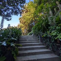 Yeah, more steps