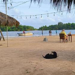 Ob da mein Thunfisch gefangen wird?