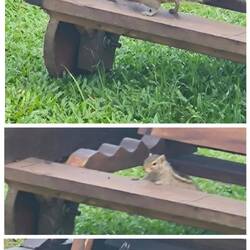 Und Länge zählt doch.