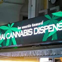 Gras gefällig? Davon gibt es etliche Läden