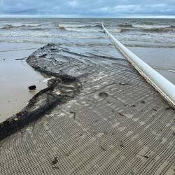 A net keeps the nasty stingers out