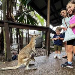 See the baby in the pouch