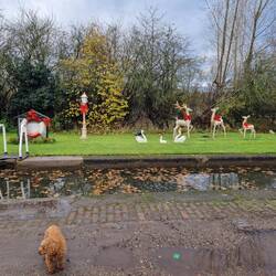 A lovely Christmas display on 1st December