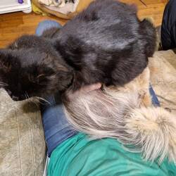 Progress with the relationship between these two. But look at the size difference 🤦🏻‍♀️