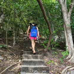 Wandern auf der Halbinsel Koh Nang Yuan 🏝️