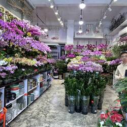 One of many beautifully laid out stores.