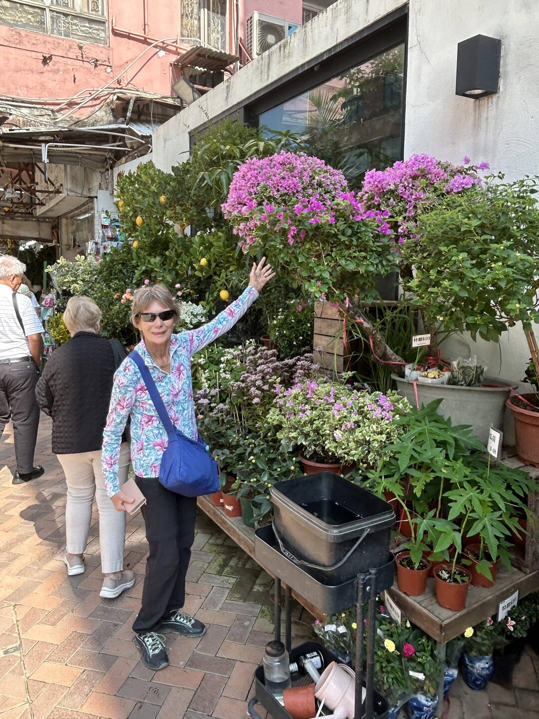 Lee, pointing to the Bougainvillea, is in heaven in the flower market.