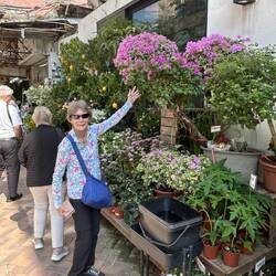 Lee, pointing to the Bougainvillea, is in heaven in the flower market.