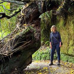 Pororari River Track