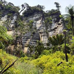 Pororari River Track