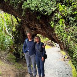 Pororari River Track