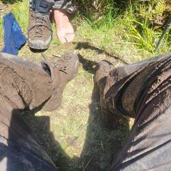 Langsam werden die Auswirkungen der letzten zwei Tage sichtbar